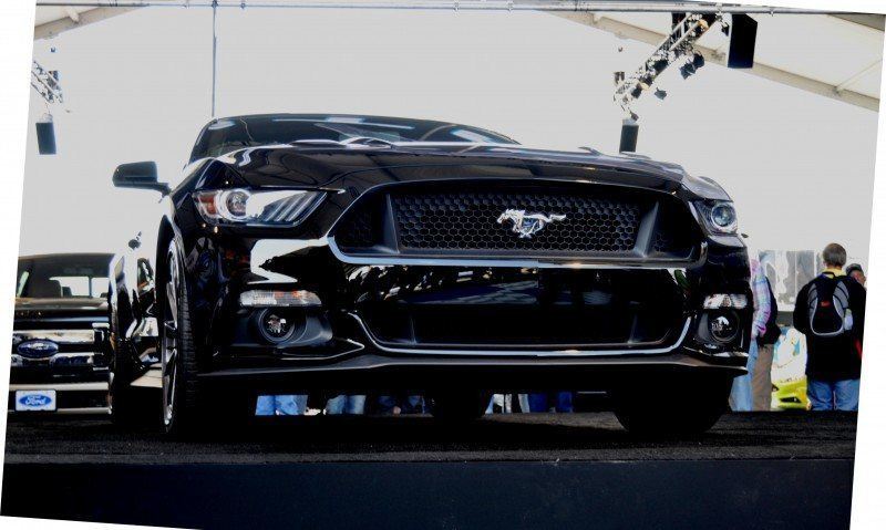 2015 Ford Mustang Snapped In the Flesh 69