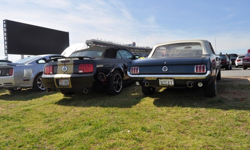 Mustang 50th Anniversary - Stragglers Gallery Shows 150 Great Photos of Your Dream Mustangs 56