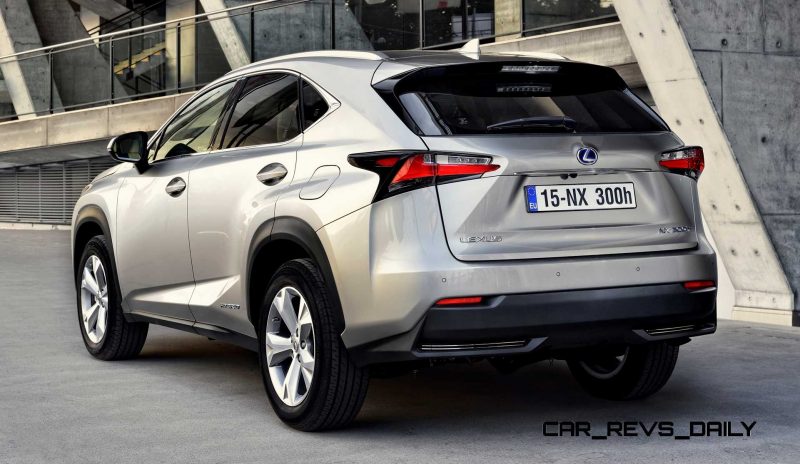 2015 Lexus NX300h 10