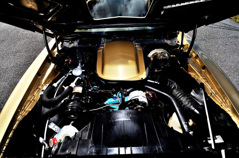 Pontiac Firebird Trans Am Y88 SE Gold Edition 19