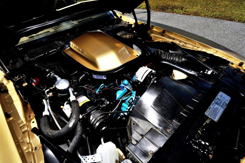 Pontiac Firebird Trans Am Y88 SE Gold Edition 7