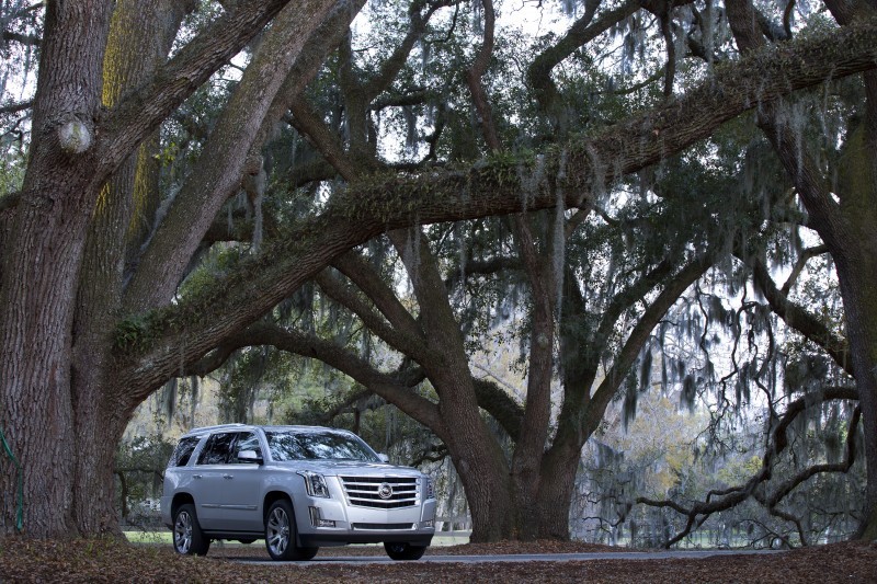 2015 Cadillac Escalade