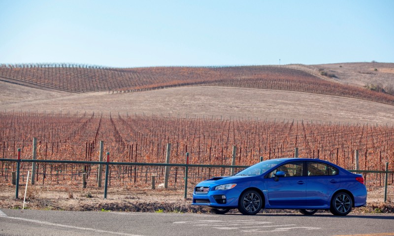 2015 Subaru WRX Hits The Gravel In 90 New Photos in Four Colors 44