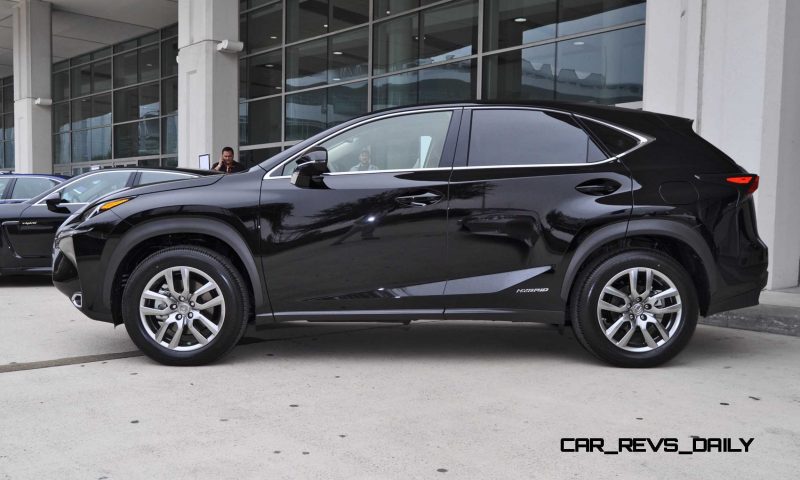 2015 Lexus NX300h 19