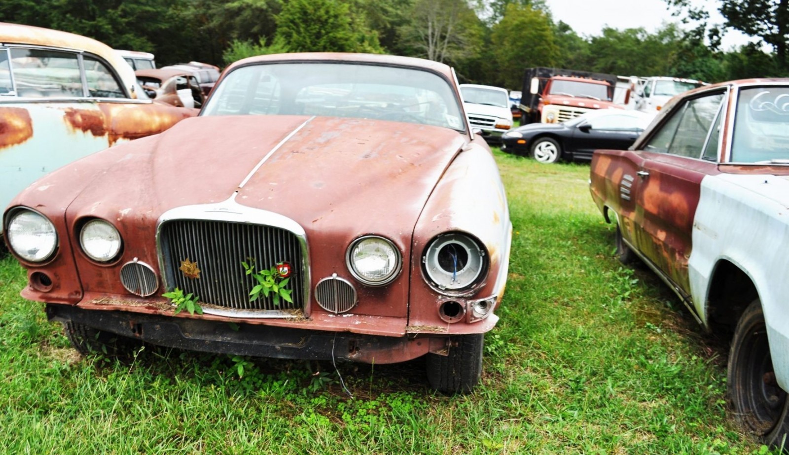 SC Classic Cars - Photo Tour of 50 RARE ICONS in Original, Un-restored