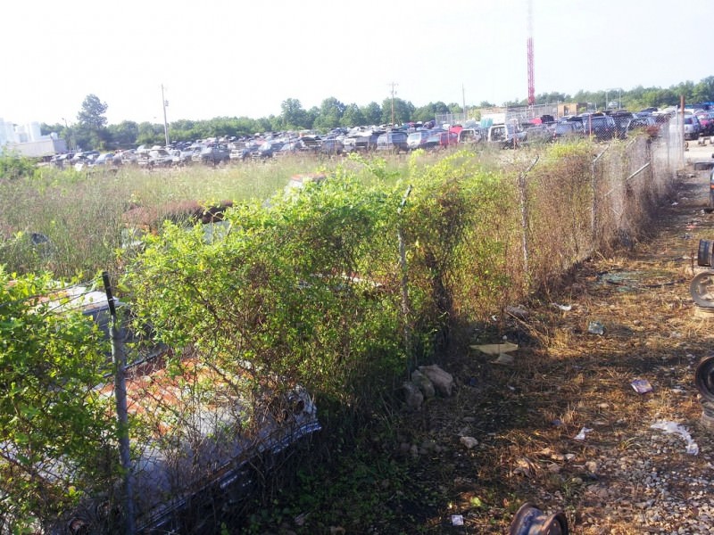 Junkyard Jems - Americana - 1961 Thunderbird, New Yorker, Mustangs and Rusty Tractors 46