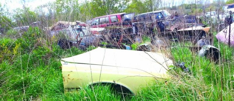 Junkyard Jems - Americana - 1961 Thunderbird, New Yorker, Mustangs and Rusty Tractors 9