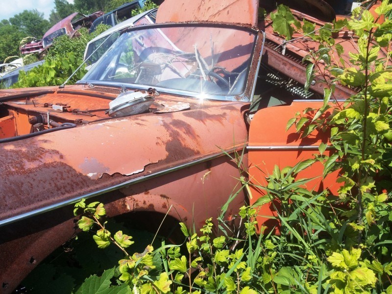 Junkyard Jems - The Europeans - Saab, Opel, Triumph, Mercedes, Fiat, Alfa, MG, BMW... and Lada 186