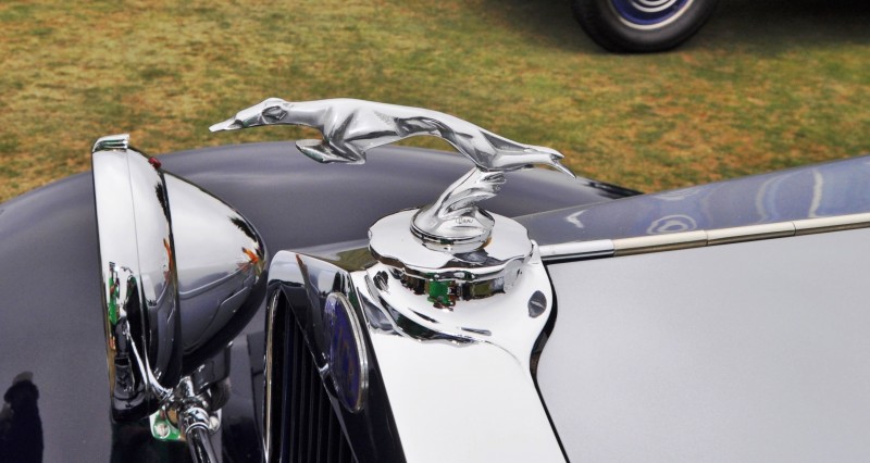 Top 10 Most Beautiful Pebble Beach Hood Ornaments 37