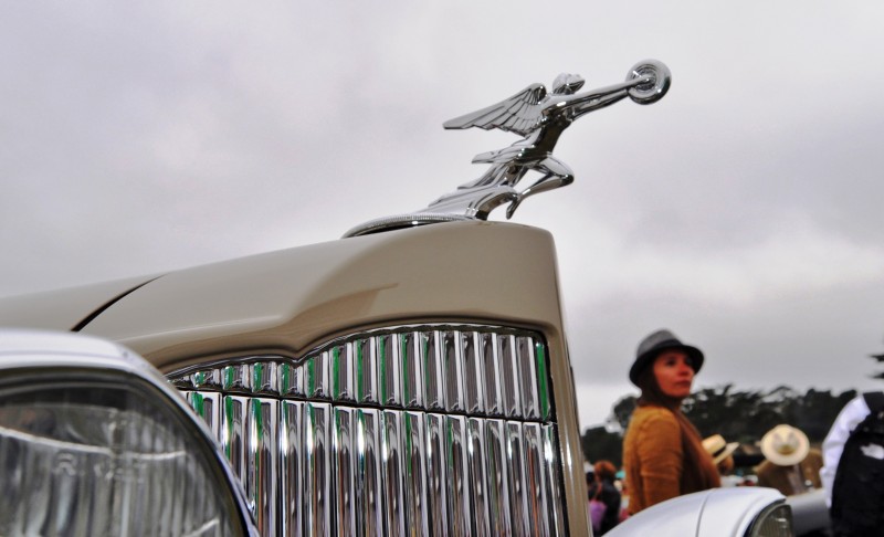 Top 10 Most Beautiful Pebble Beach Hood Ornaments 49