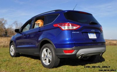 CarRevsDaily - 2014 Ford Escape and Drake the doggie