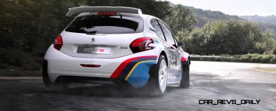 Peugeot 208 T16 and 205 T16 Group B 48