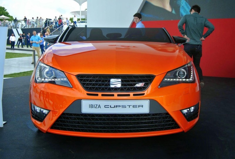 2014 SEAT Ibiza CUPSTER 8