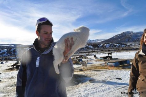 Travel Adventure Series -- Dog Sledding in Colorado » Car-Revs-Daily.com