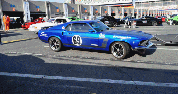 Mustang 50th Anniversary - Stragglers Gallery GIF