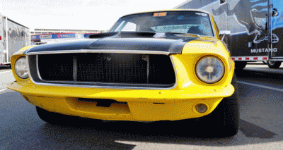 Mustang 50th Showcase GIF header 1