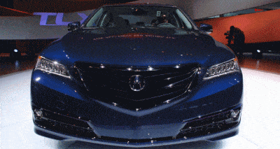TLX black nose fixed GIF