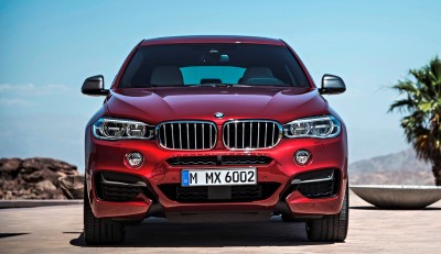 2015 BMW X6  14