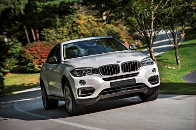 2015 BMW X6  233