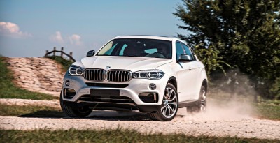 2015 BMW X6  273