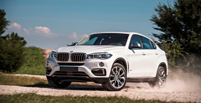 2015 BMW X6  274