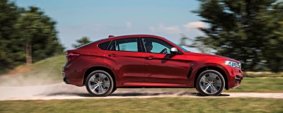 2015 BMW X6  281