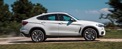 2015 BMW X6  282