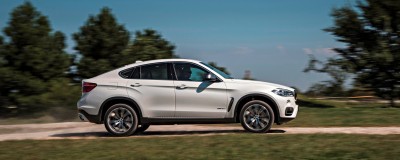 2015 BMW X6  283