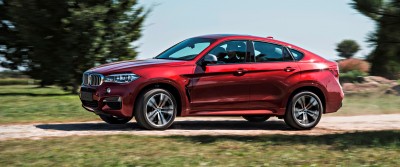 2015 BMW X6  284