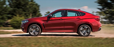 2015 BMW X6  286