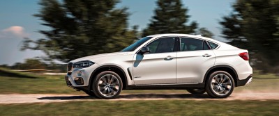 2015 BMW X6  287