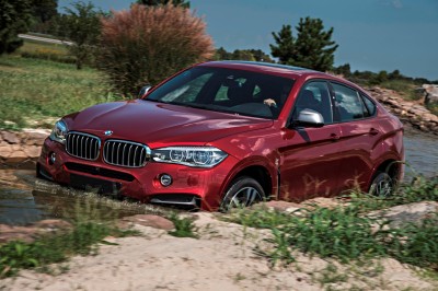 2015 BMW X6  313