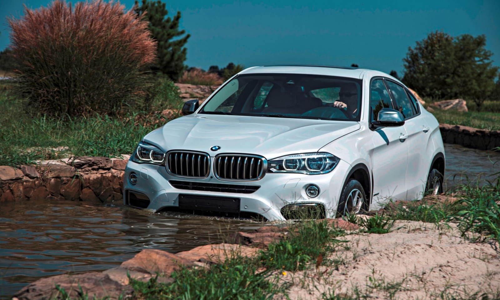 2015 bmw x6 319