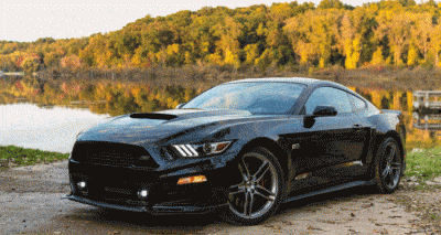 Roush Mustangs gif