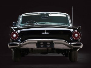 1957 Ford Thunderbird 'F-Code'  17