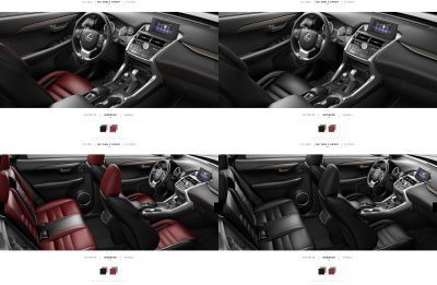 2015 Lexus NX200t F Sport Interior Colors 4-tile