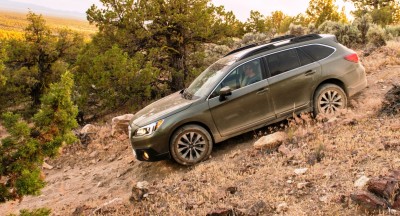 2015 Subaru Outback 17