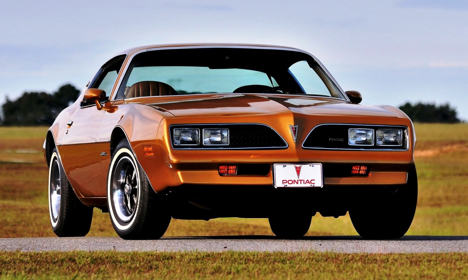 Pontiac Firebird from The Rockford Files