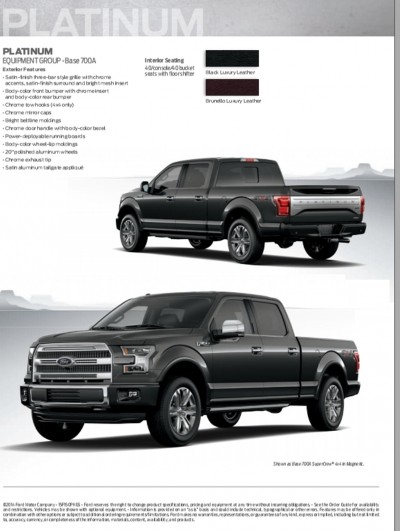 2015 FORD F-150 31