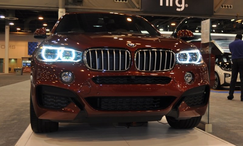 2015 BMW X6 xDrive50i 23