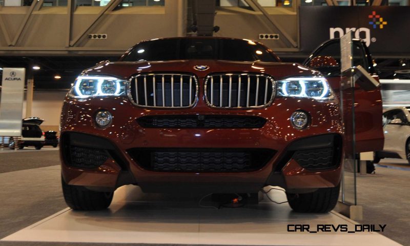 2015 BMW X6 xDrive50i 25