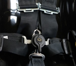 3inch  FIA SeatBelts Each Side _004