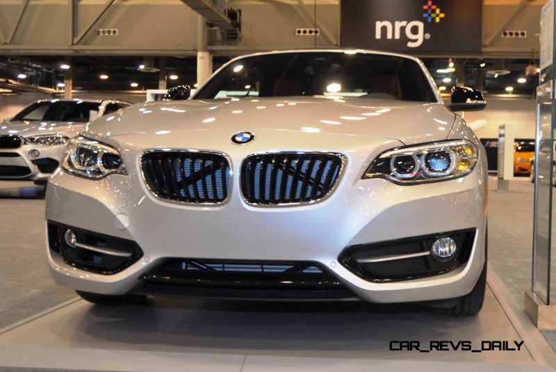 Houston Auto Show - 2015 BMW 228i xDrive Convertible in Luxury Trim 6