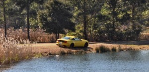 2015 Ford Mustang EcoBoost in Triple Yellow 131