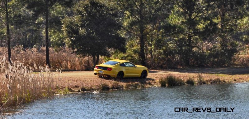 2015 Ford Mustang EcoBoost in Triple Yellow 131