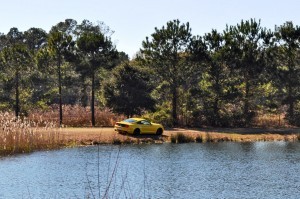 2015 Ford Mustang EcoBoost in Triple Yellow 132