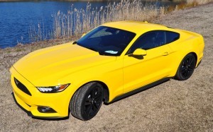 2015 Ford Mustang EcoBoost in Triple Yellow 50