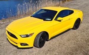 2015 Ford Mustang EcoBoost in Triple Yellow 51