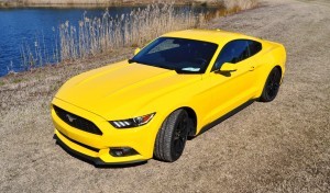 2015 Ford Mustang EcoBoost in Triple Yellow 52