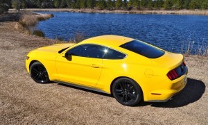 2015 Ford Mustang EcoBoost in Triple Yellow 69